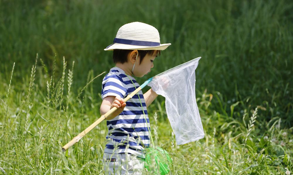 命を大切にする子に育てる 幼児期からの心の育み方 Shinga Farm