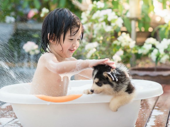 ぬいぐるみが多い子は不安を抱えているの 子ども ぬいぐるみの心理学的意味とは Shinga Farm