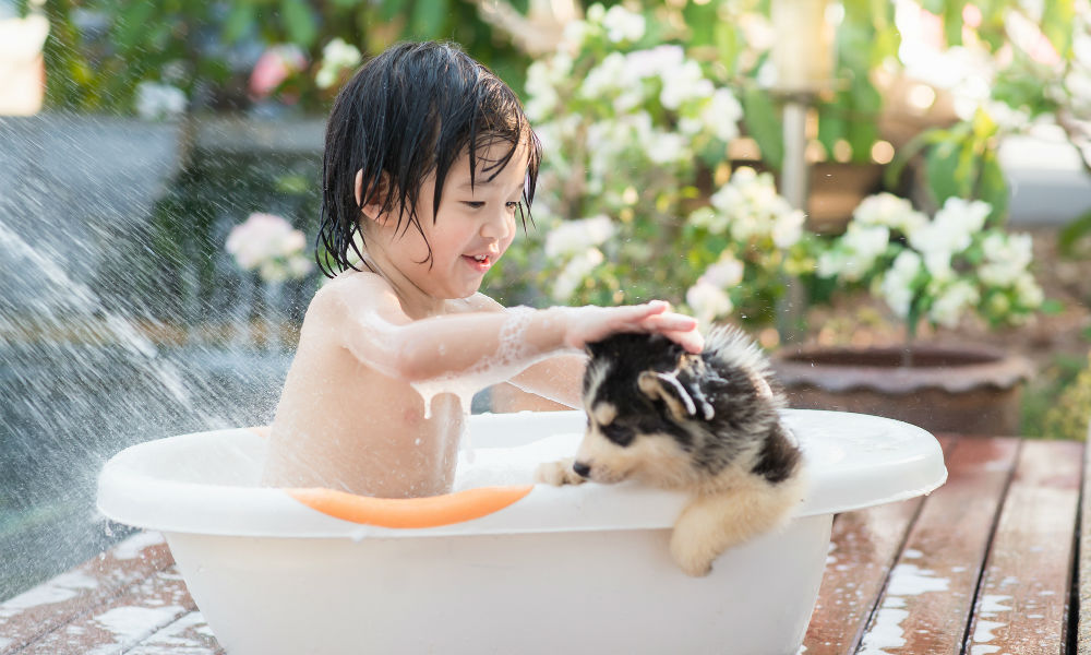 ペットにできて 親にできていないことがある ペットを飼いたい の子どもの心理とは Shinga Farm