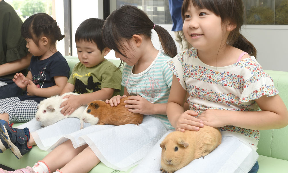 パンダだけじゃない！ 子どもと上野動物園を数倍楽しむ5つのチェック