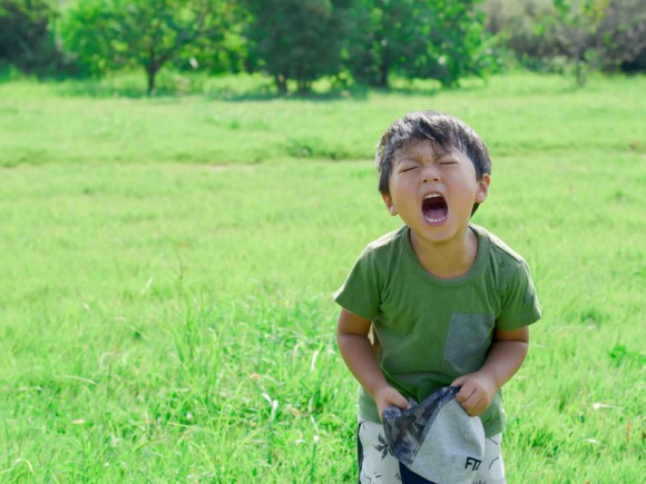 4歳ママ必読 こんな行動が理解できない に心理学で答えます Shinga Farm