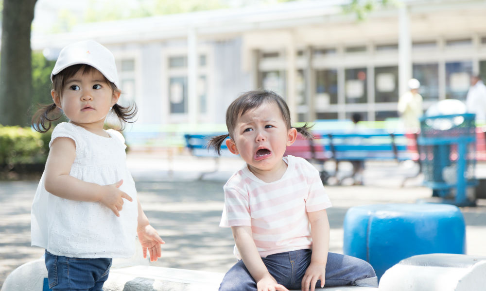 うちの子がお友だちを叩いた 親としてどうすべき Shinga Farm