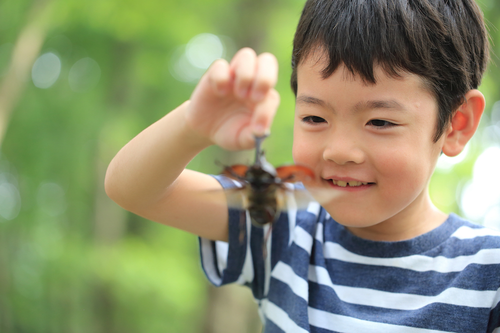 男の子ママは覚悟して カブトムシにバッタ 家で虫を飼う際に知っておきたいこと 都会のママ友ルール第11弾 Shinga Farm