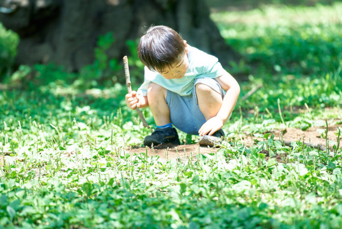 【5歳の男の子の特徴】おすすめの習い事や接し方、自立心を育む非認知能力の伸ばし方