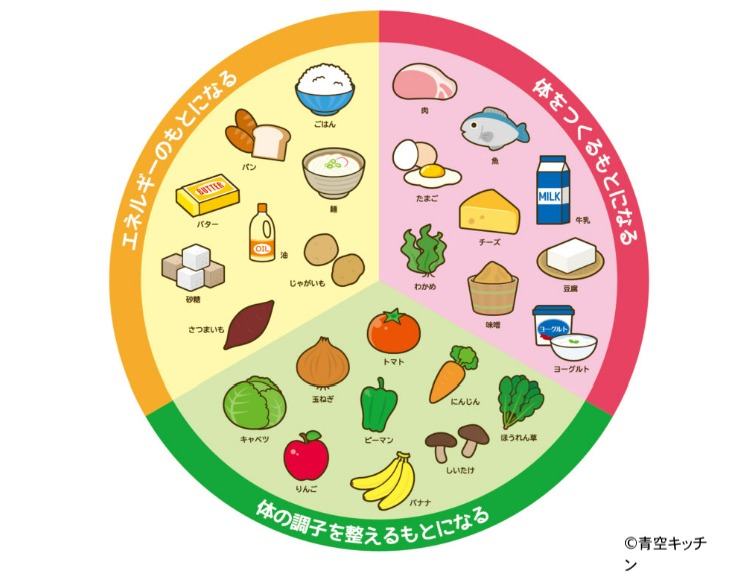 「3色食品群」